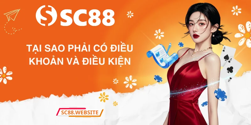 Tại sao phải có điều khoản và điều kiện